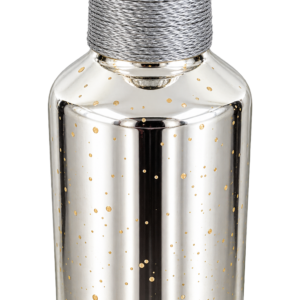 Silver & Gold Decorative Bottle Vase